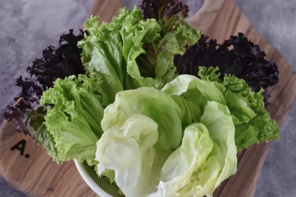Lechuga Morada - Imagen 3