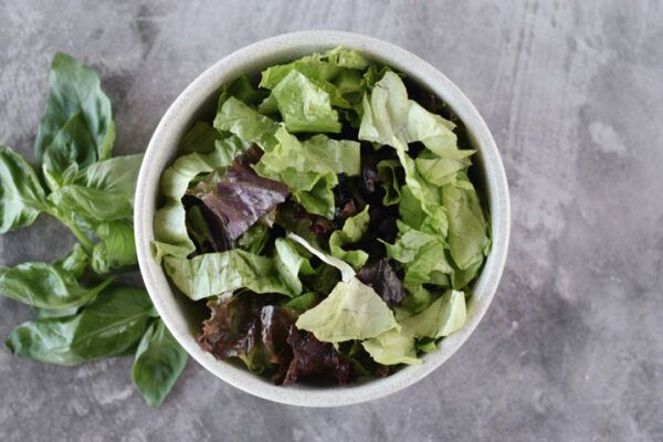 Lechuga mix