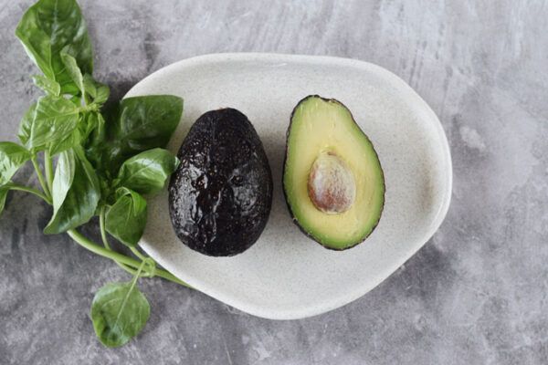 Palta