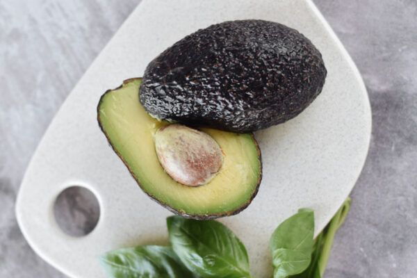 Palta - Imagen 2