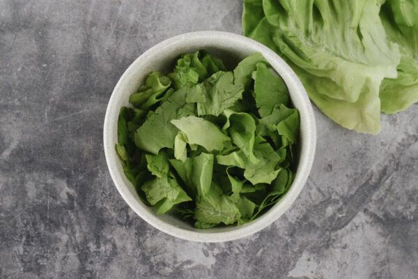 Lechuga manteca