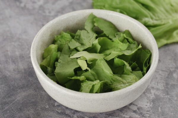 Lechuga manteca - Imagen 2